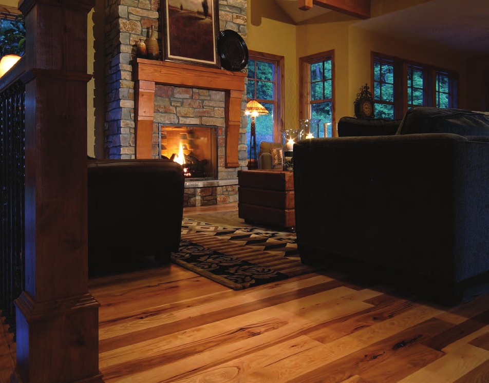 Homer Wood cozy living space with furnace